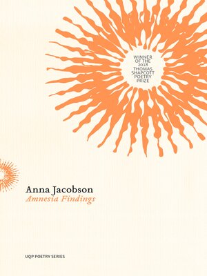 cover image of Amnesia Findings